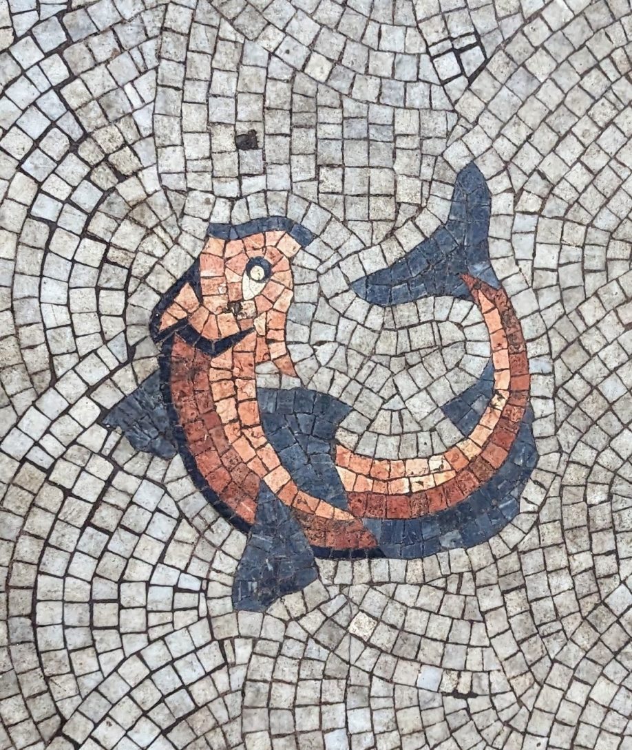 Mosaic fish from the First Class Males Entrance Hall